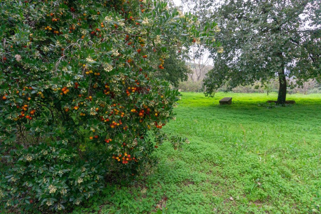 Villa Trigona Πιάτσα Αρμερίνα Εξωτερικό φωτογραφία